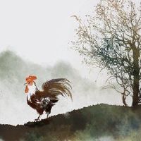 十二生肖的人在2023年投资了好与坏,以分析财富和财富,这适合投资