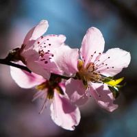 老公财运不好怎样化解 鱼缸放凶位上可催财