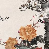 夫妻宫天机配偶特征 夫妻宫有天机星配偶容貌