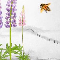 黄道吉日查询:2022年7月3日这天黄历宜忌查询