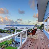 家里养的一些什么植物可以旺财