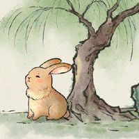 75年单身生肖兔女一生的桃花运 异性缘运势较好