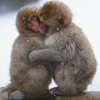 92年水瓶座男猴2022