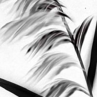 2022年8月22日是开业求财日子吗 农历七月二十五是黄道吉日吗