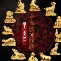 属牛的属相公司办公室风水