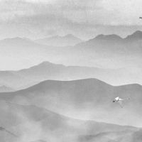 戊辰女命特点 戊辰日柱婚姻真的很惨吗