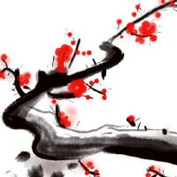 本命年遇上守孝怎么化解 化太岁符让人不惧守孝