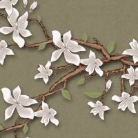 本命年也算转运年吗 太岁年如何提升运势