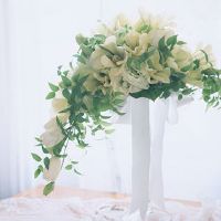 12星座早期婚姻概率排名