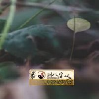 1977年属蛇女2022年运势详细说明