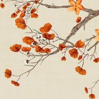 1998年属虎的本命年是哪一年 壬寅虎年如虎添翼