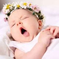 鹤岗起名公司哪家好