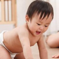 属虎的宝宝怎么起名字 2022年吉利孩子取名大全