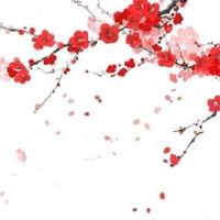 手机尾号55559寓意象征什么 大吉大利的手机靓号