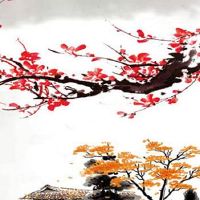 五行穿衣每日指南:2022年10月11日穿什么颜色旺运势