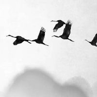 黄道吉日查询:2022年9月5日这天黄历宜忌查询