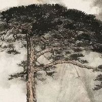 68年属猴的人一生命运如何 事业上升财运鼎盛