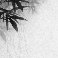 戊辰日坐财库大贵八字 从小富到大聚财能力强