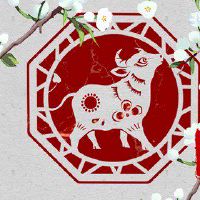 97年属牛2022桃花运 红鸾入命脱单机会大小心烂桃花