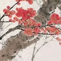 1980出生女猴一生婚姻状况 婚后家庭稳定和睦