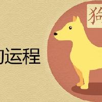1970属狗运程怎样