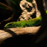 属蛇的33岁2022年婚姻生活怎样