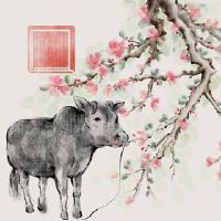 生肖鼠在2022年8月会遇见真爱吗 催旺桃花荣获青睐