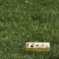 1970属狗每月运程2022年详细说明