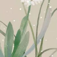 2022年10月2日出生的男宝宝命运好吗 学业有成 桃花运旺