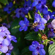 进门直接通向客厅阳台大门直接相对好不好