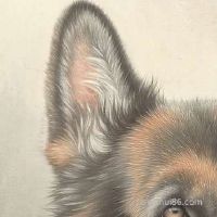 文昌命要在什么时候出世:名利造就有威望