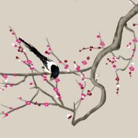 龙和兔在一起对谁不利 属龙人和属兔人彼此掣肘