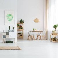 阳台上种植什么植物最有利风水和家庭