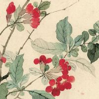 女孩本命年戴什么好 女孩子戴路路通一片通途