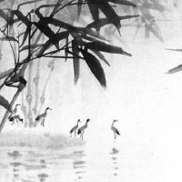 1998年属虎是什么命 生肖虎男女性格差异