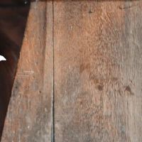 1973牛命太苦生来便是还债的命