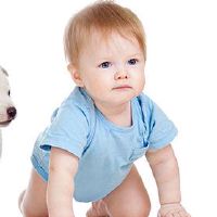 姓刘女宝宝取名