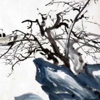 属马人和属兔人的婚姻 缘分注定婚姻幸福