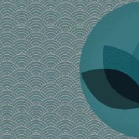 女性骨架小命好吗?