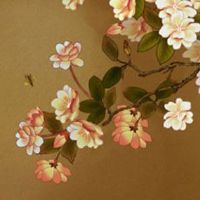 2022年10月25日出生属虎男宝宝命好吗 大器晚成 福荫庇佑