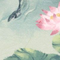 2022年秋老虎是公还是母 秋老虎公母哪个更热