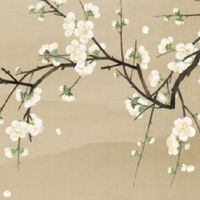 小暑三候:一候温风至,二候蟋蟀居宇,三候鹰始鸷