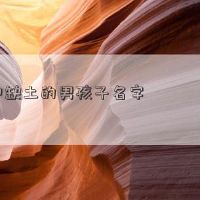 一个男孩的名字,他在老虎那年失踪