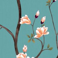 小暑节气艾灸养生 小暑节气老年人怎样养生