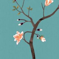 小暑节气艾灸好处 好处与功效多到你想不到!