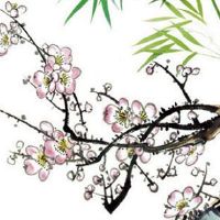 取名字公司兴旺一点 名字带旺字有什么讲究