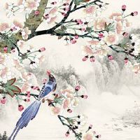 命里有申子辰的人好不好 遇卯年犯桃花