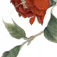 黄历查询:属羊人2022年12月宜结婚办婚礼好日子