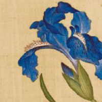 属兔的今年运势和财运怎么样 运势欠佳多做努力