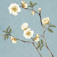 夫妻宫化权入命宫表现 夫妻宫为福德宫情商高